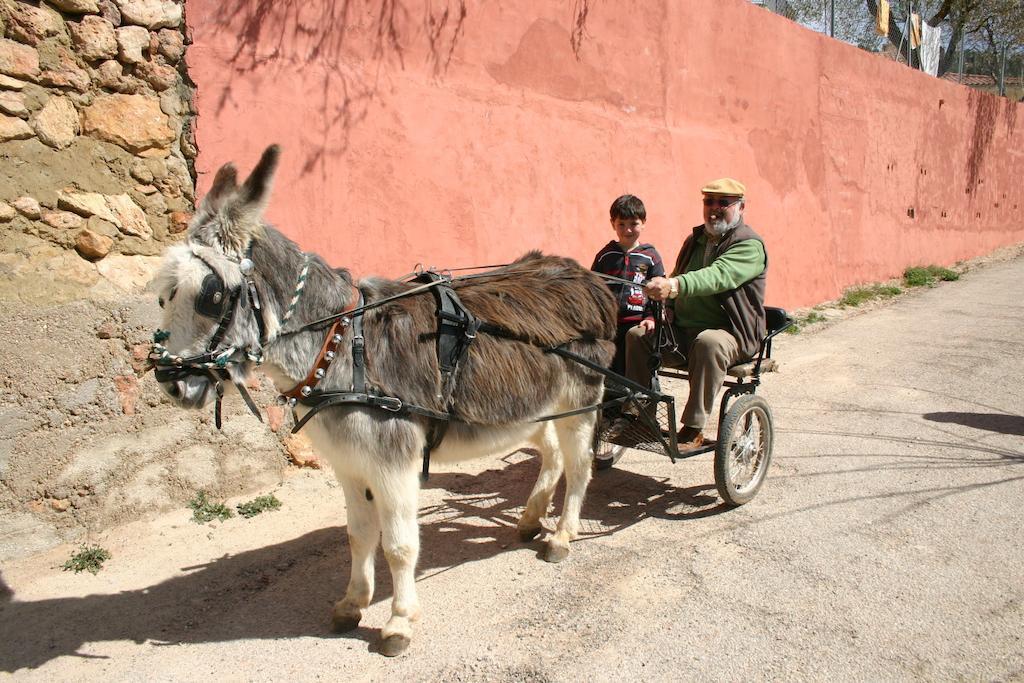 Casas Rurales Vegasierra Bogarra Εξωτερικό φωτογραφία